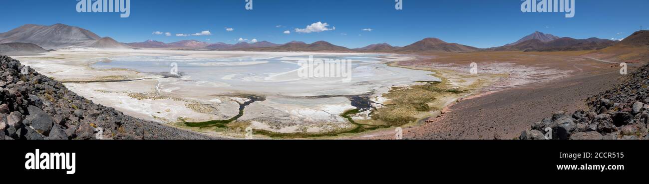 The Aguas calientes salt flat is a great place near the border to Argentina Stock Photo