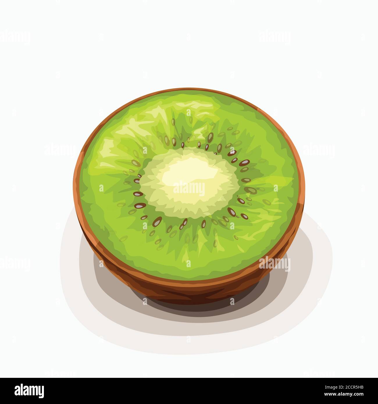kiwi fruit half lying on white back Stock Vector