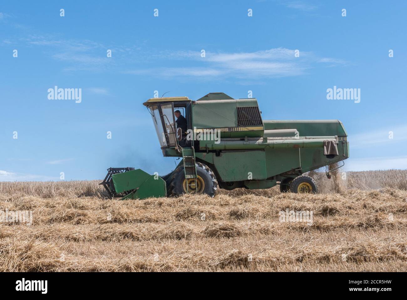 John Deere combine harvester cutting wheat crop in summer sun. Front header, tine reel, side pipe, & straw walker visible. For 2020 UK wheat harvest. Stock Photo