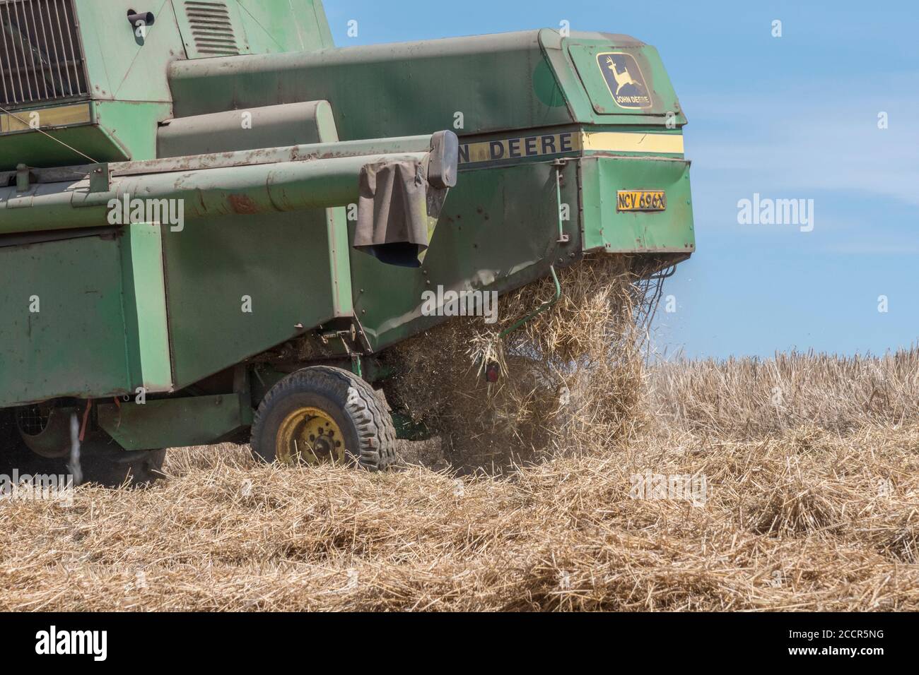 Back end of John Deere combine harvester cutting wheat crop. Grain tank, side pipe, & straw walker visible. For 2020 UK wheat harvest. Stock Photo