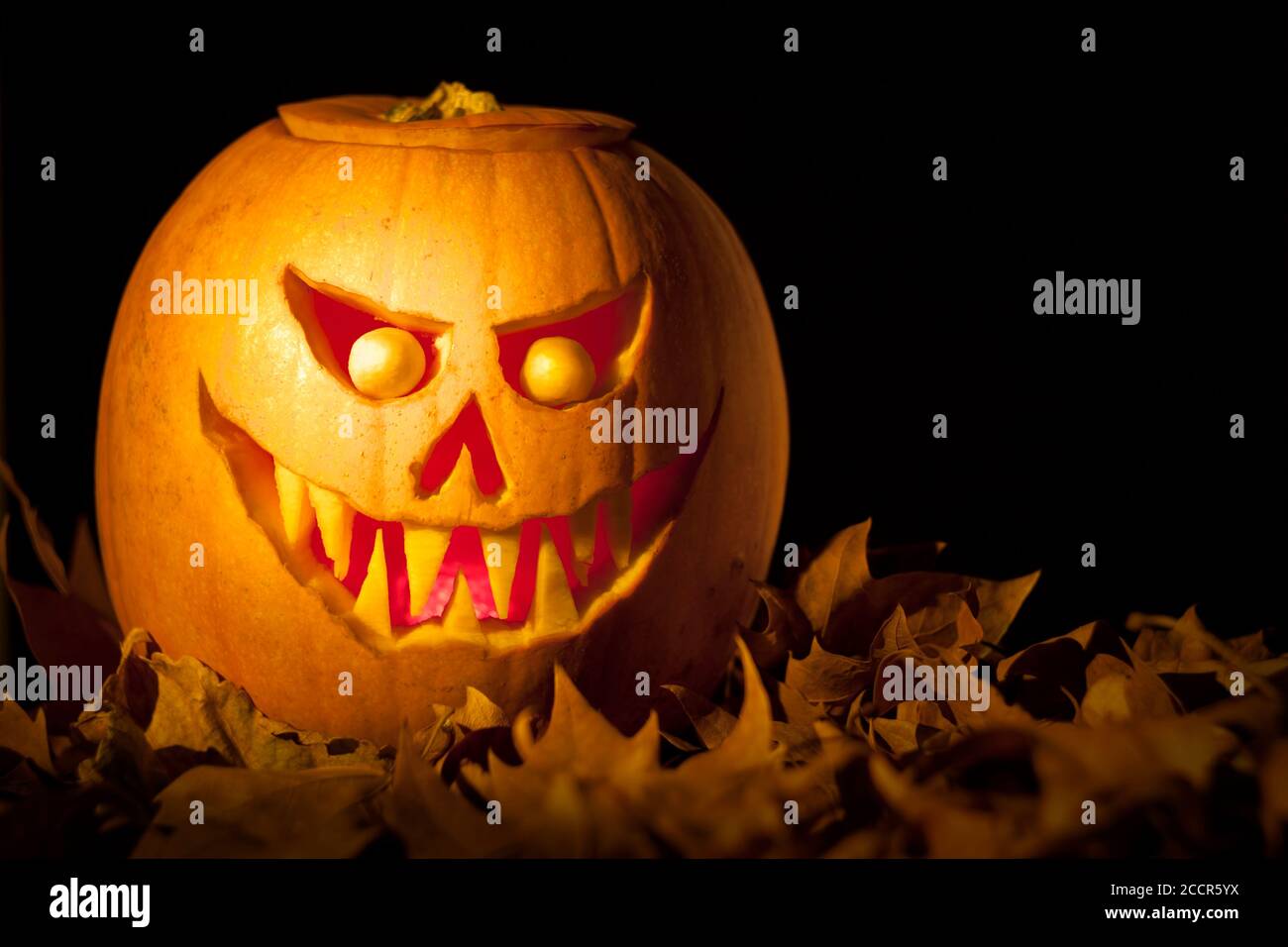 Spooky Jack O´Lantern halloween pumpkin on dry leaves. Black background ...