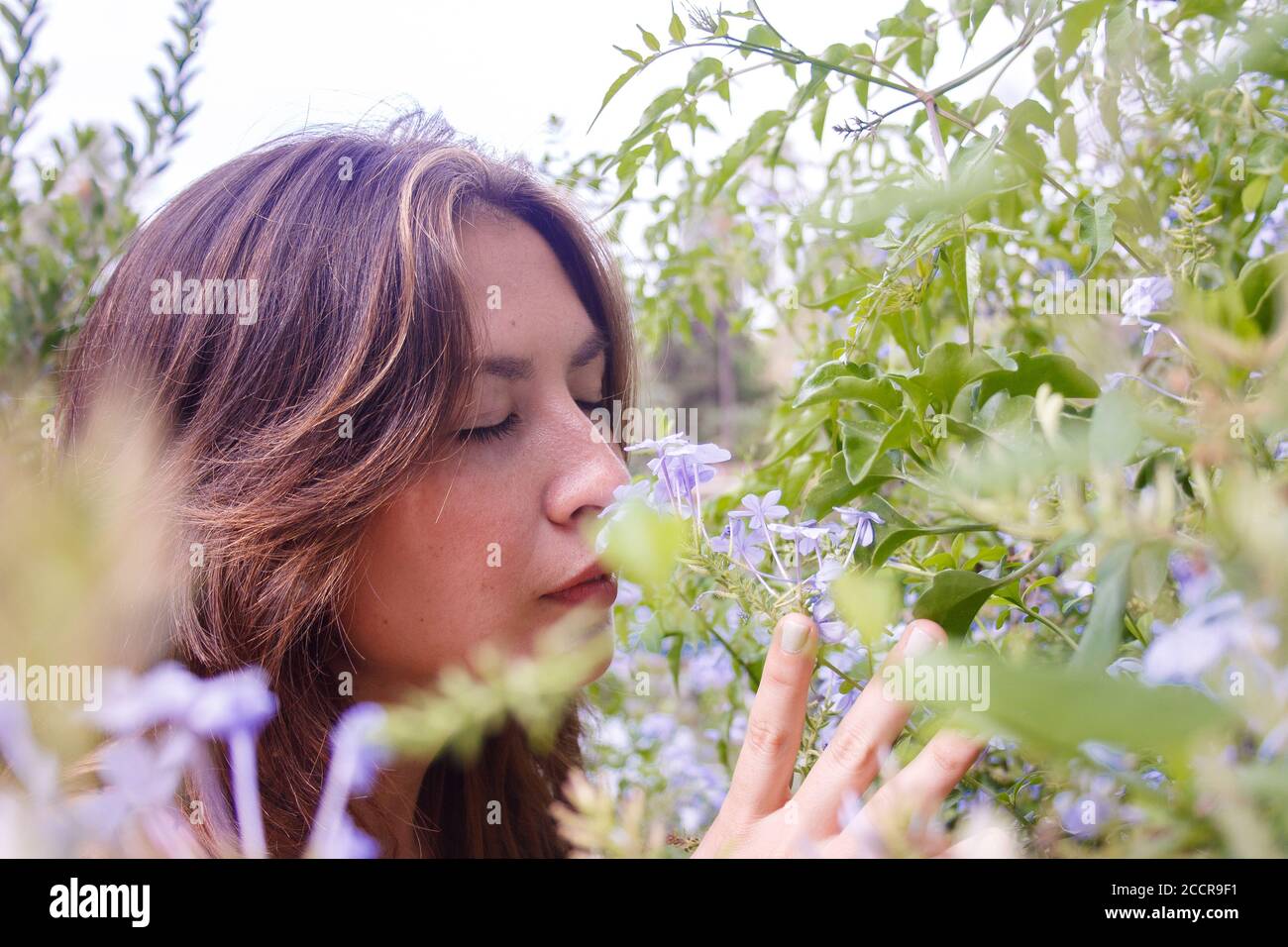 Young woman smelling wildflowers. Close-up. Horizontal view. Stock Photo