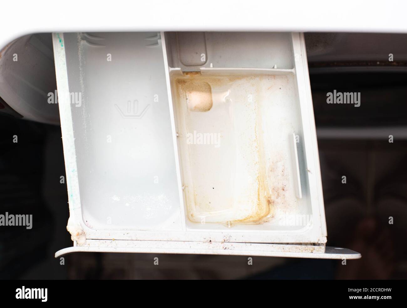 dirty powder tray in the washing machine from fungus and moisture. Washing machine care and