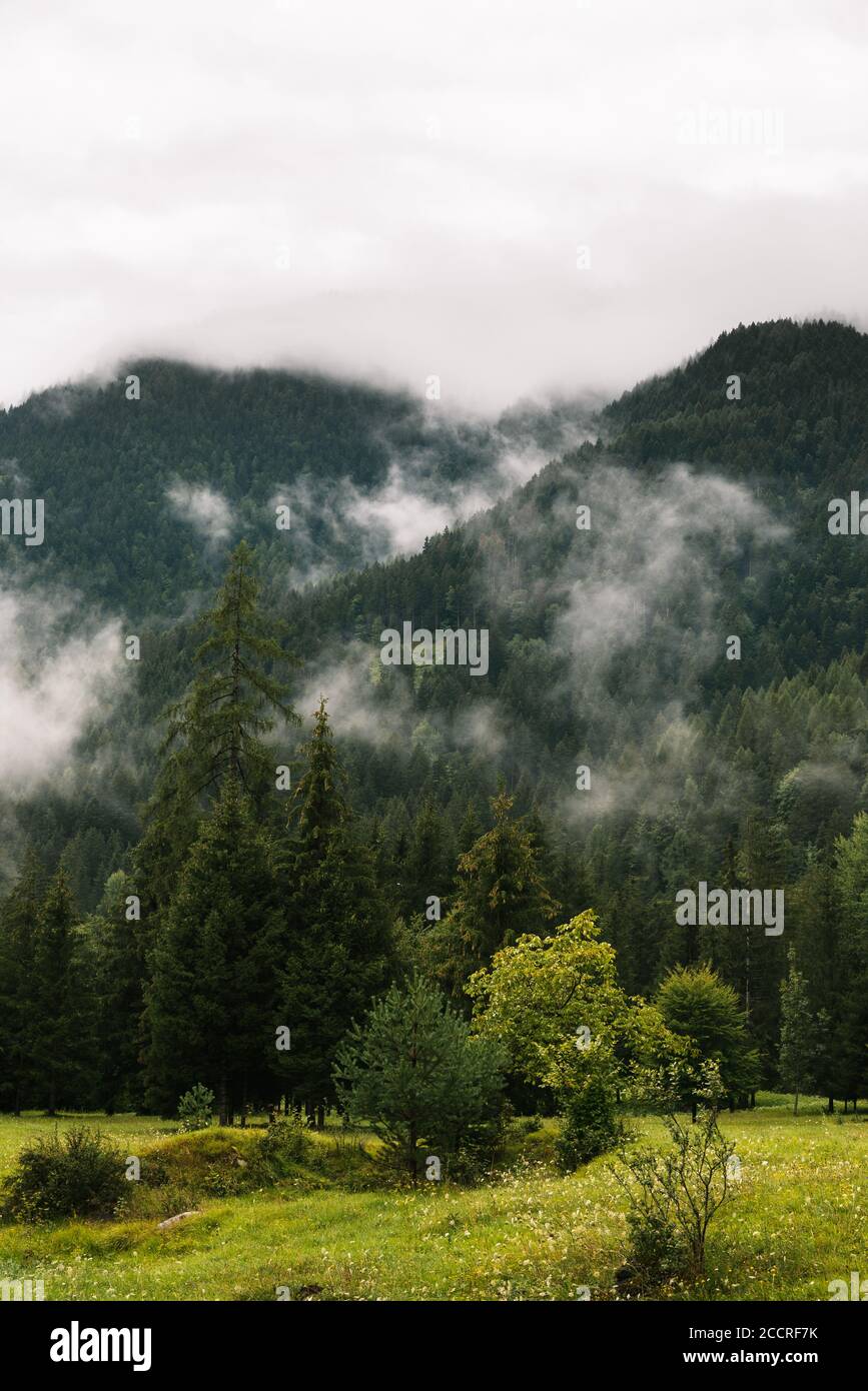 Clouds and fog cover the dolomites in Italy Stock Photo - Alamy