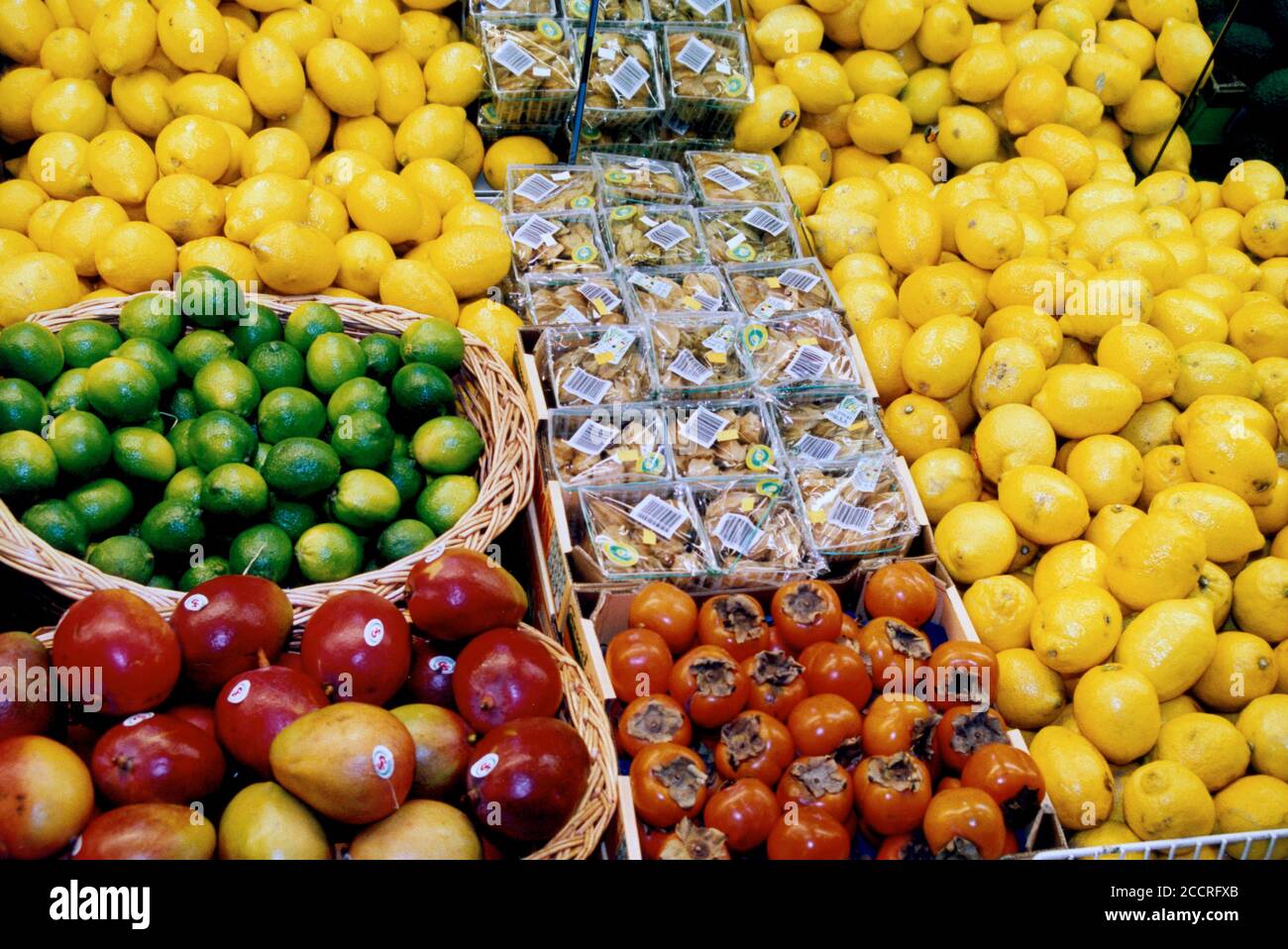 CITRUS FRUIT Displayed in Shop counter Stock Photo
