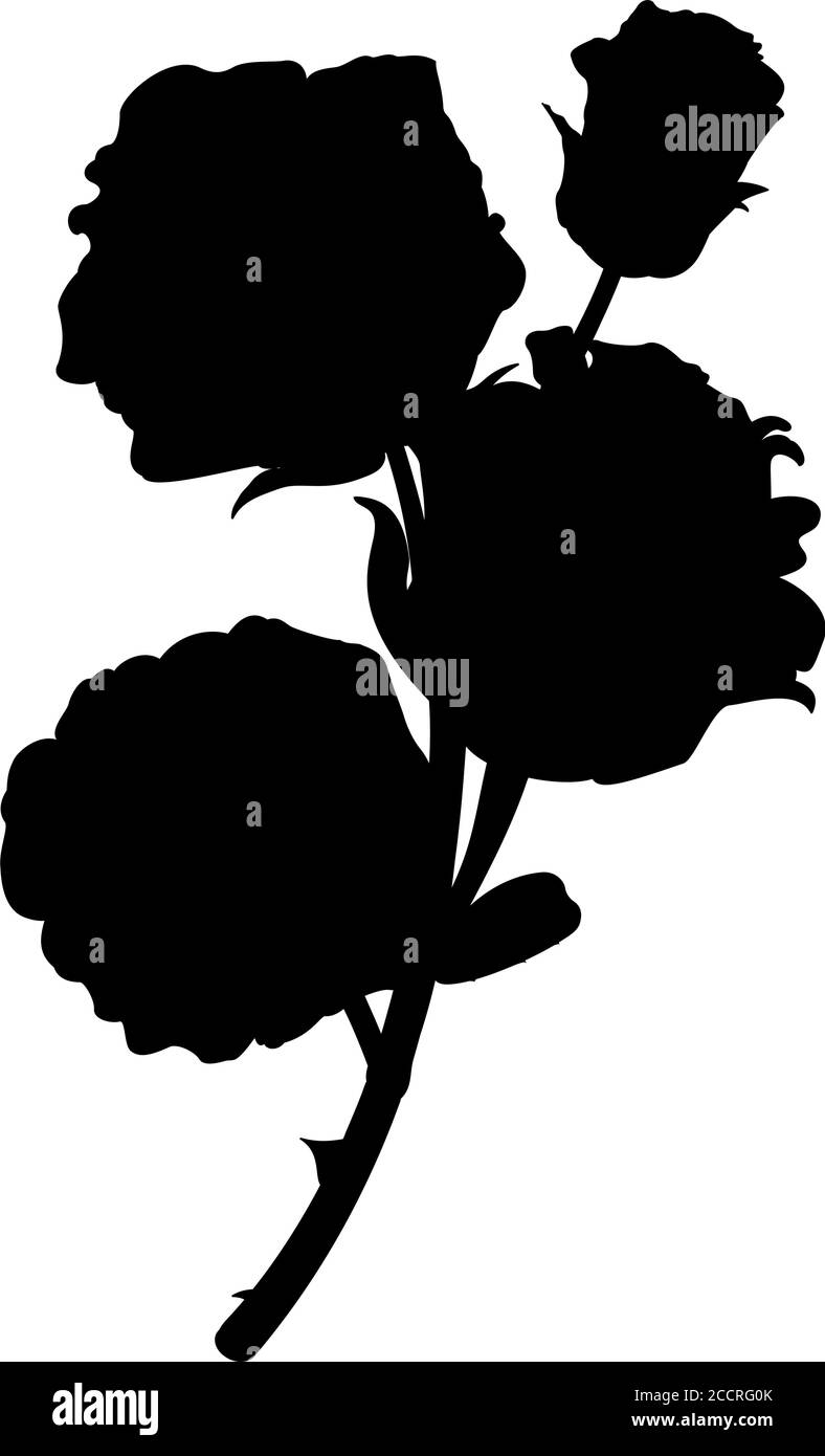 vector black clip art vintage rose flower Stock Vector Image & Art Alamy