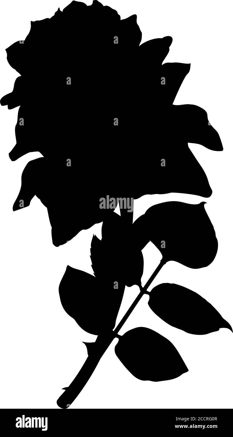 vector black clip art vintage rose flower Stock Vector Image & Art Alamy