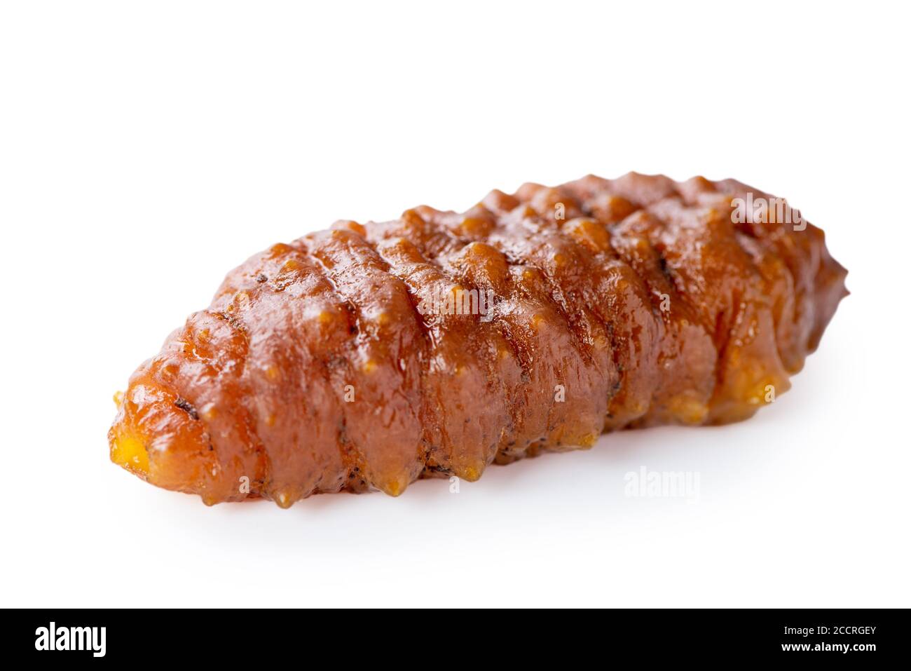 Beautiful sea cucumber seafood isolated on white background, clipping