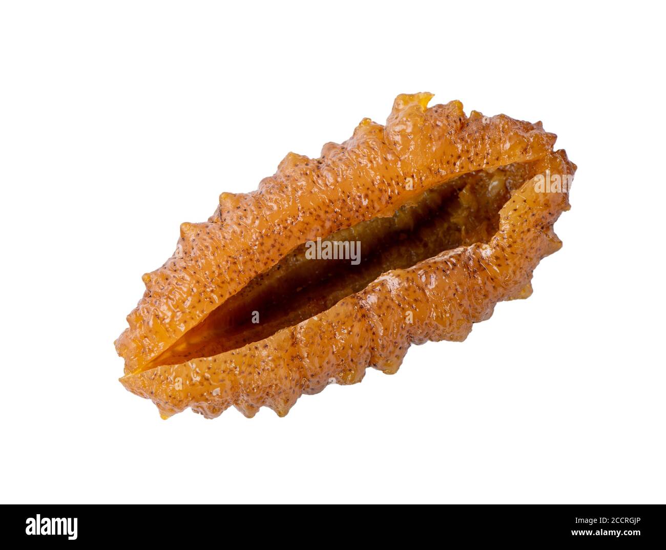 Beautiful sea cucumber seafood isolated on white background, clipping