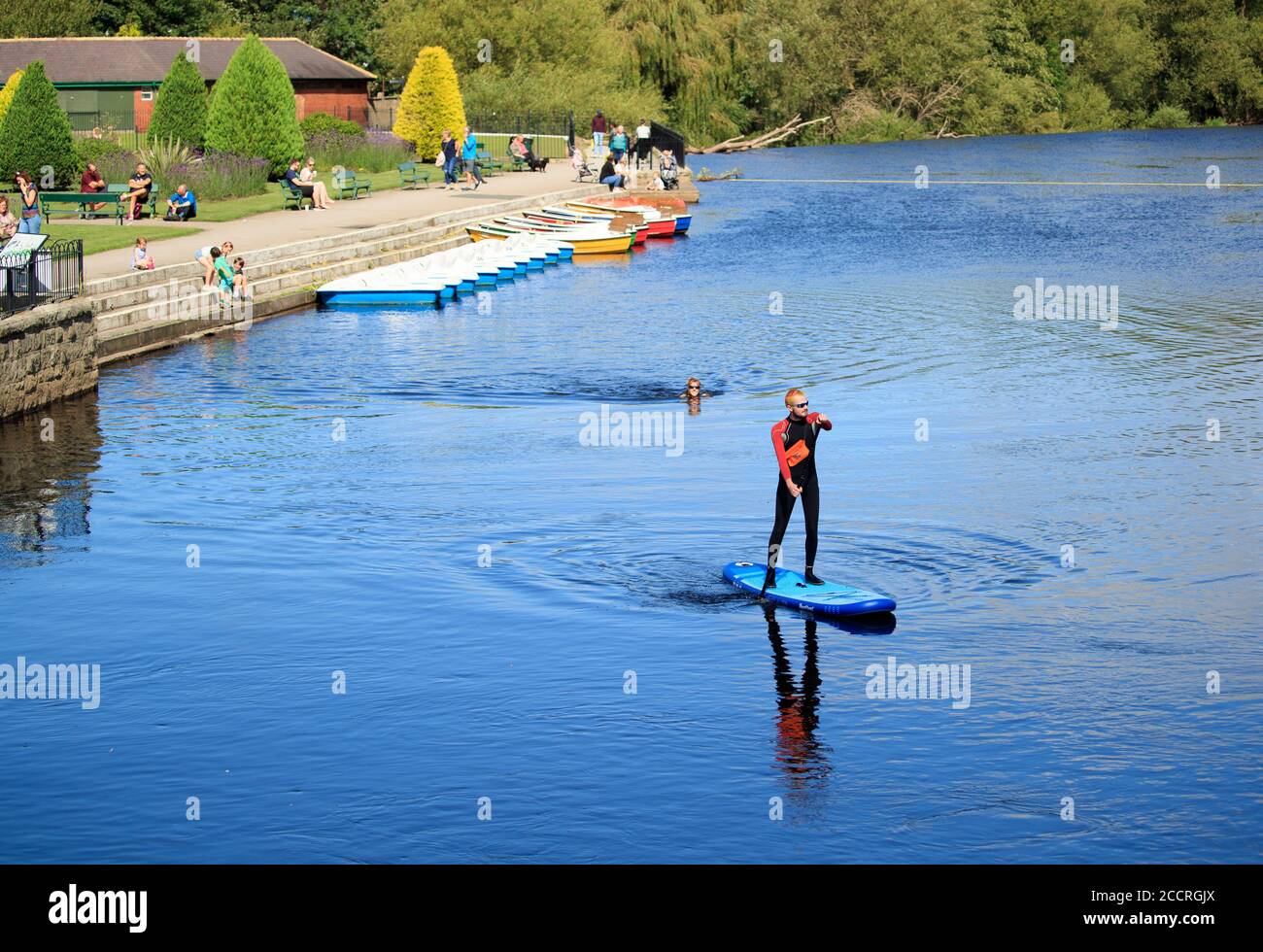 A paddleboarder enjoys the sun on the River Wharfe near Otley in West Yorkshire. Stock Photo
