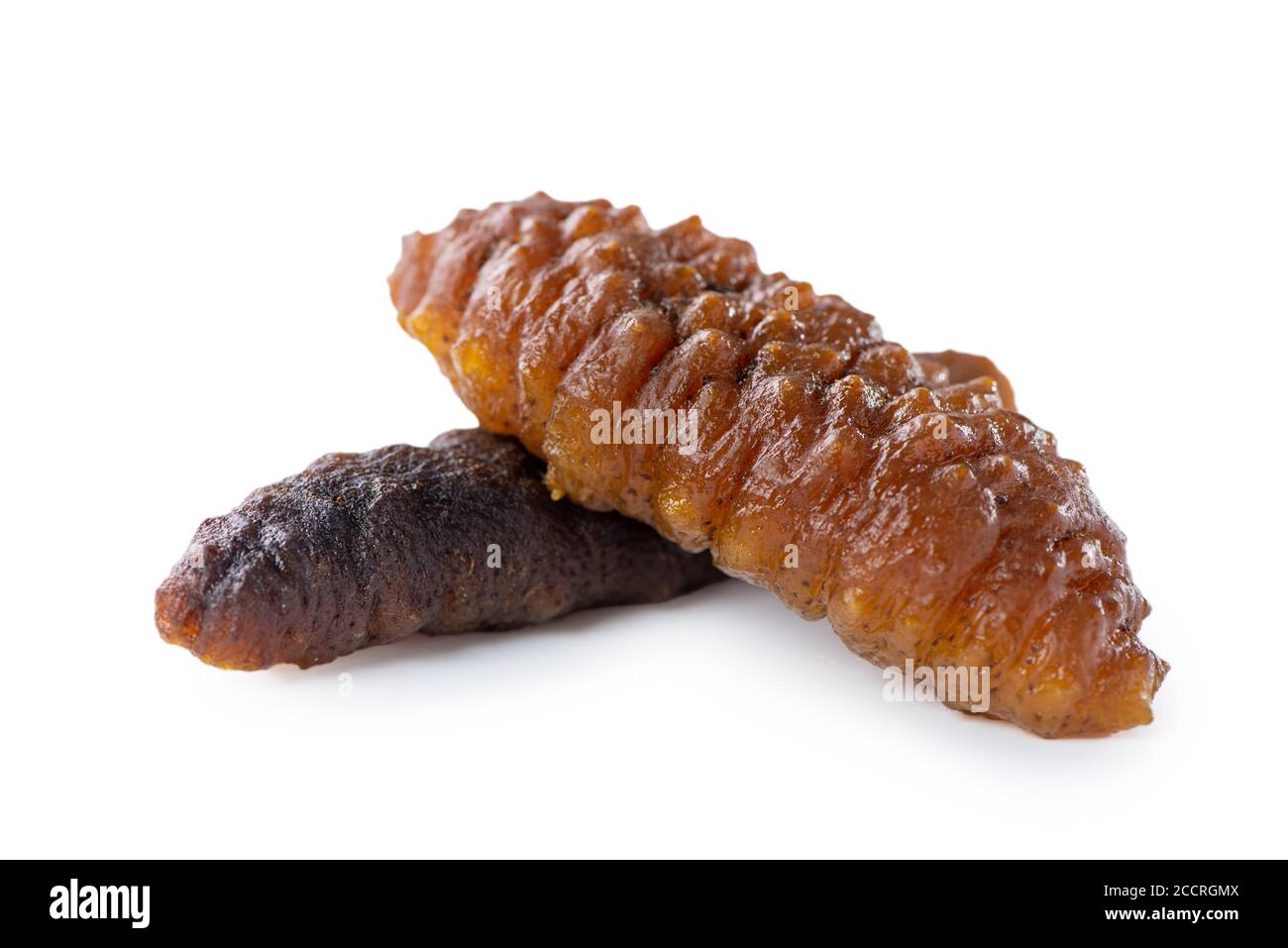 Trepang Holothuroidea High Resolution Stock Photography And Images Alamy