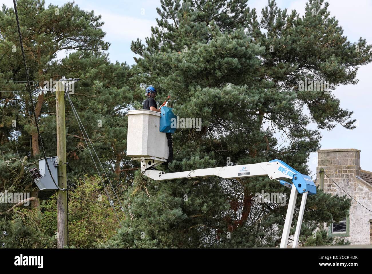 Amey worker carrying out vegetation management for Northern Power Grid on trees surrounding power lines, County Durham, UK Stock Photo