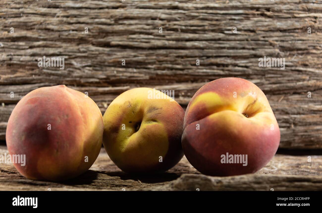 Peach fruits (Prunus persica) in natura. Peach fruits, deciduous tree
