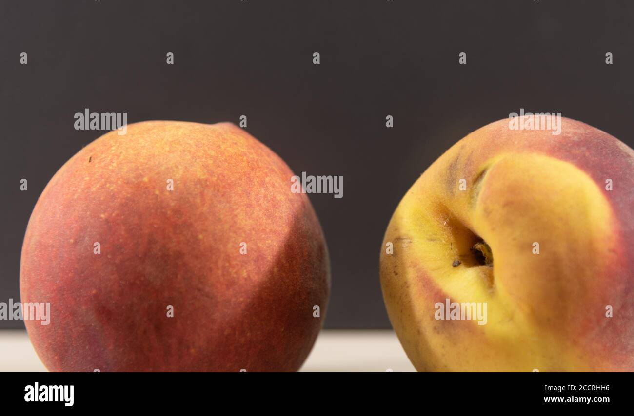 Peach fruits (Prunus persica) in natura. Peach fruits, deciduous tree