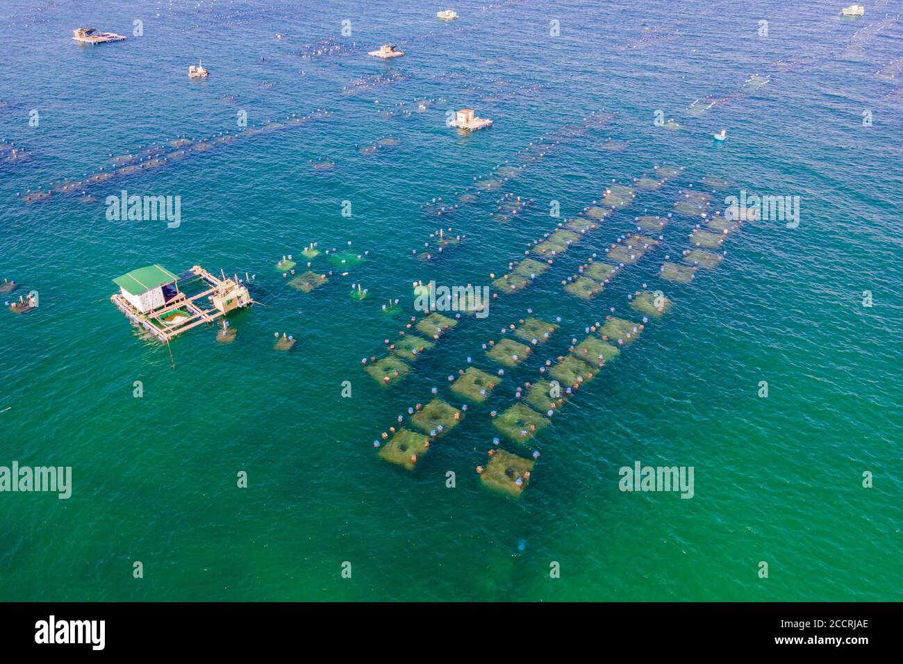 Lots of marine farms in a blue sea water. Sea farming concept Stock