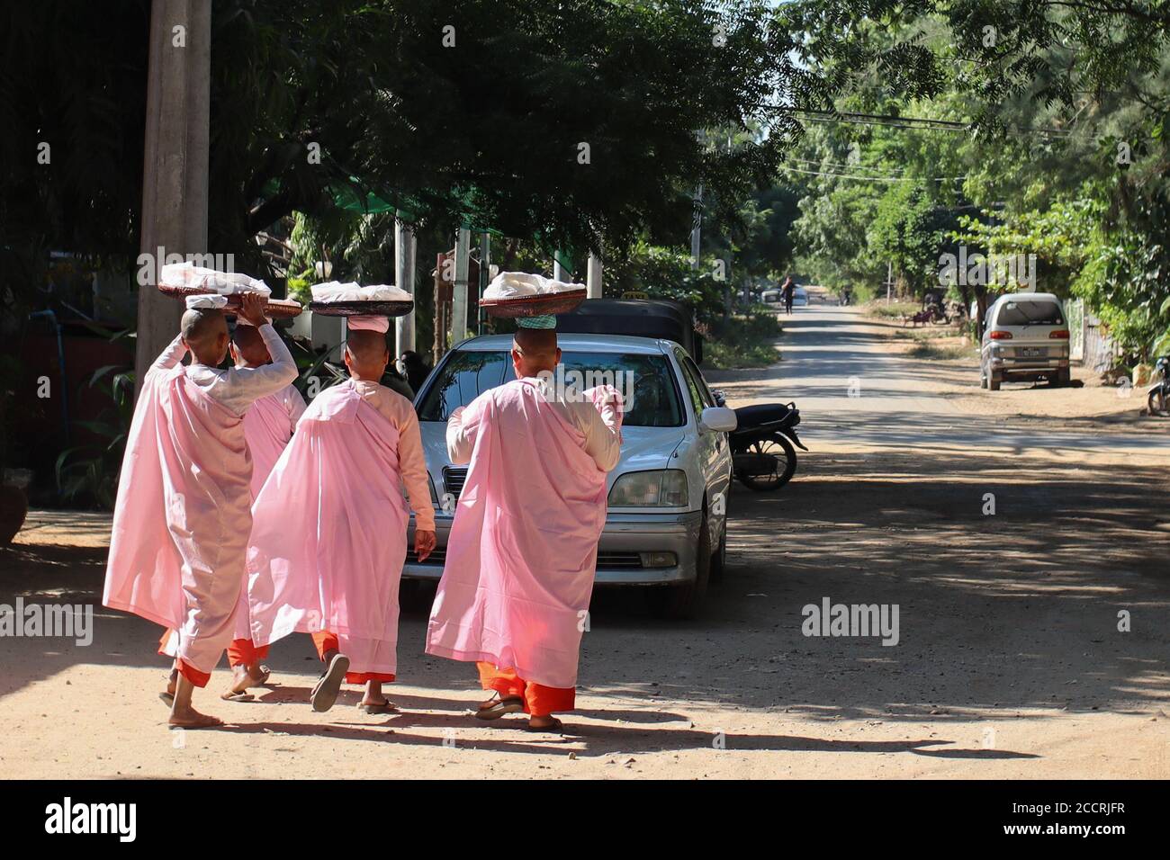 Four female monks asking for alms and food, waking in the streets of Bagan early morning. They wear pink clothes and shaved heads. Bagan, Myanmar, Bur Stock Photo
