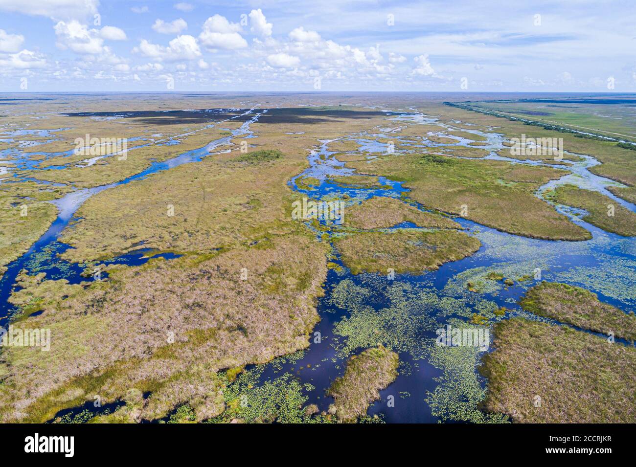 River of grass sawgrass airboat trails High Resolution Stock ...