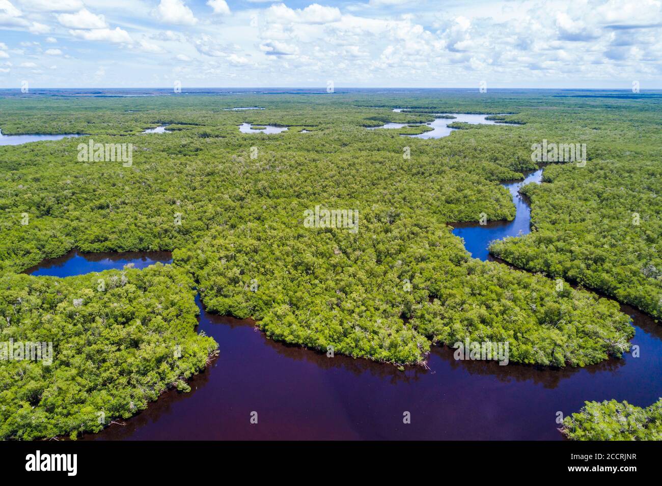 Everglades City Florida,Big Cypress National Preserve,Lake Placid,aerial overhead bird's eye view above,mangrove islands,visitors travel traveling tou Stock Photo