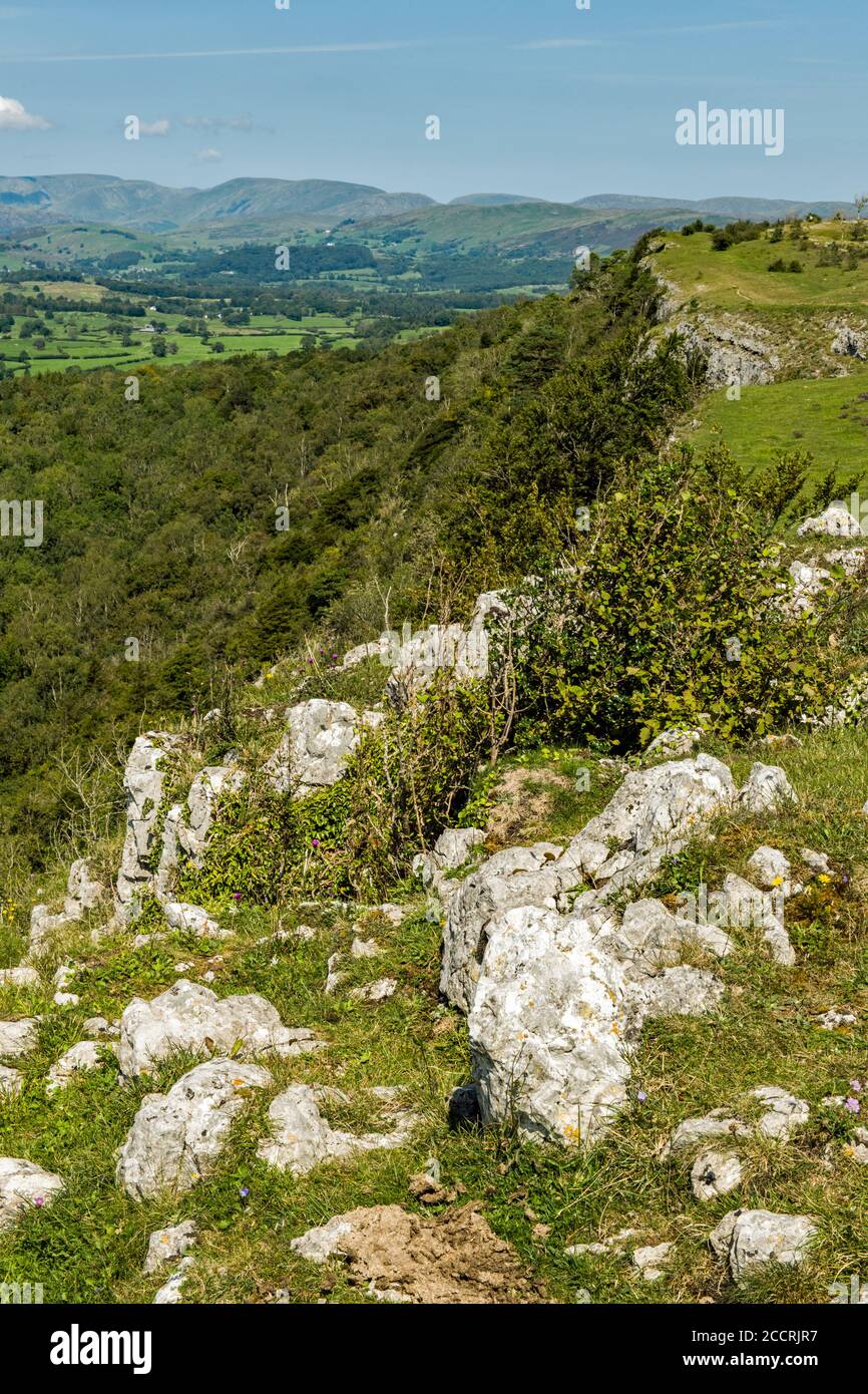 Portrait format shot looking north along the ledge of Scout Scar. The views from this Carboniferous outcrop are superb! Also known as Underbarrow Scar Stock Photo