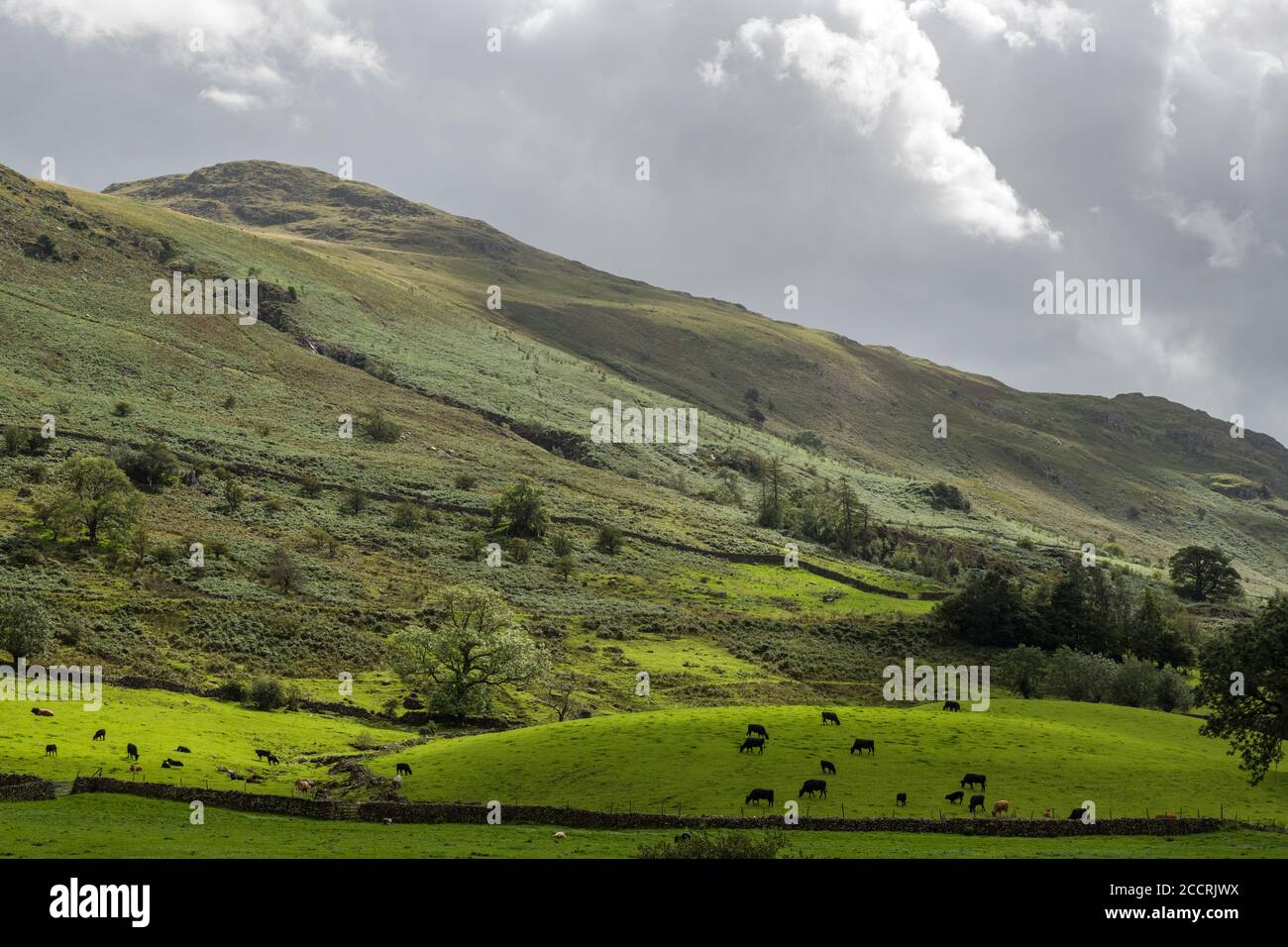 Stybarrow Dodd on the Helvellyn Ridge in the Lake District National Park in Cumbria on a summer afternoon. Stock Photo