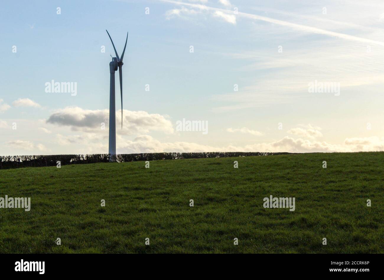 Wind turbine in an agricultural field Stock Photo
