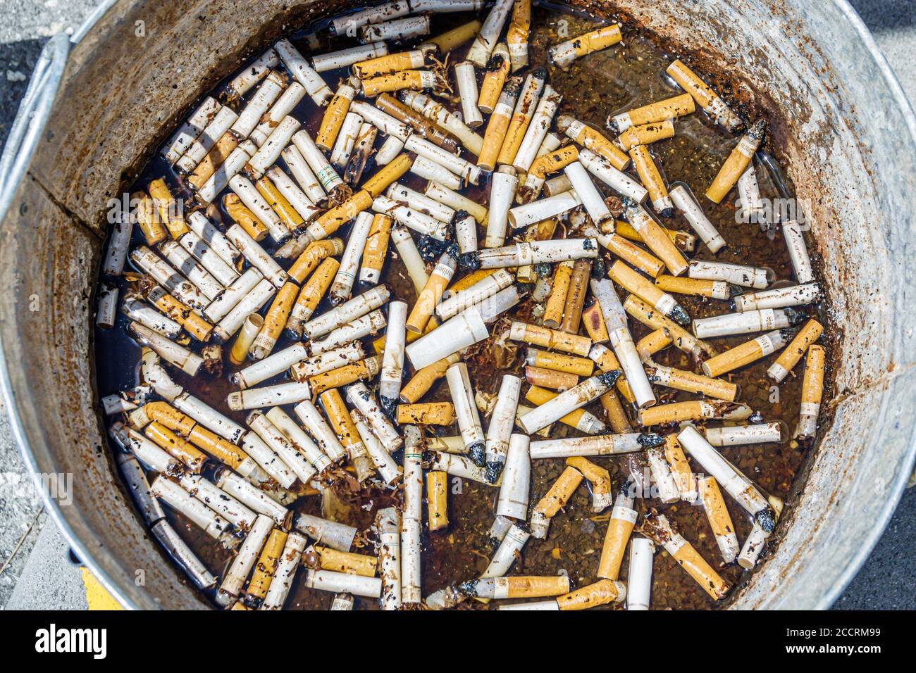 Florida,Arcadia,disposal,floating cigarette butts,pollution,nicotine