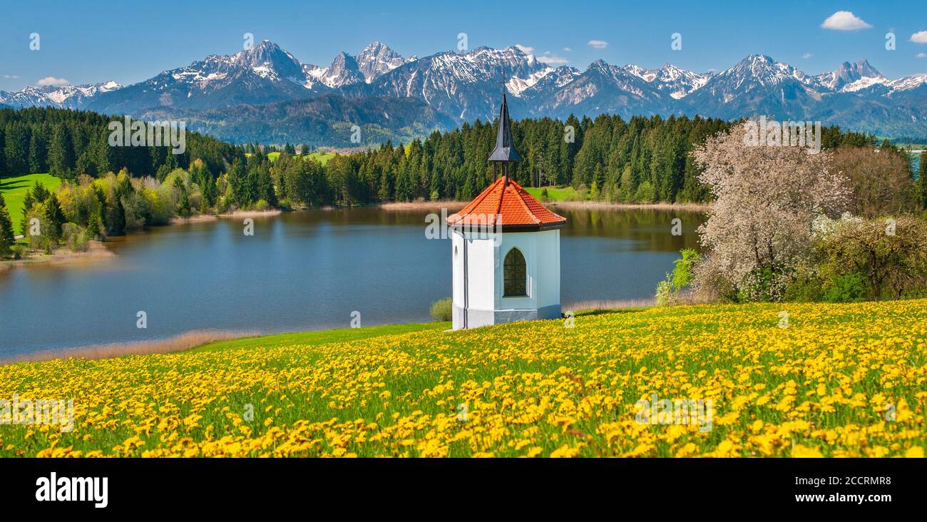 Panorama im Allgäu mit Bauernhof und Kapelle im Frühling Stock Photo