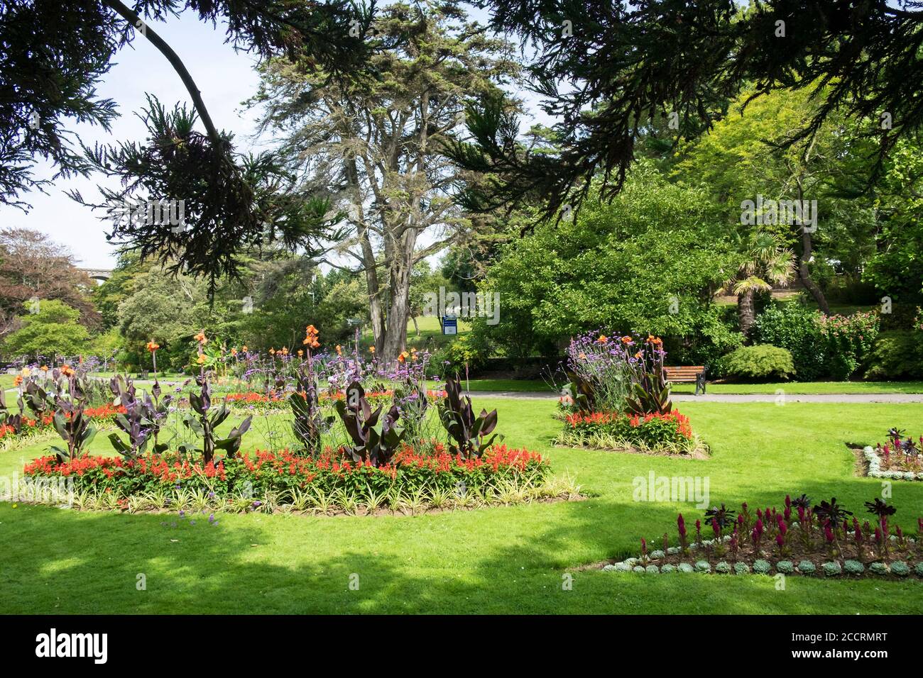 The landscaped sub tropical Trenance Gardens in Newquay in Cornwall. Stock Photo
