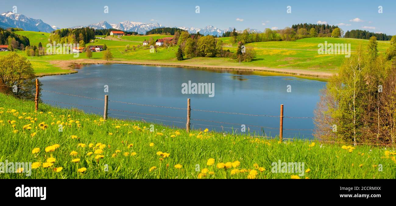Panorama im Allgäu bei Füssen Stock Photo