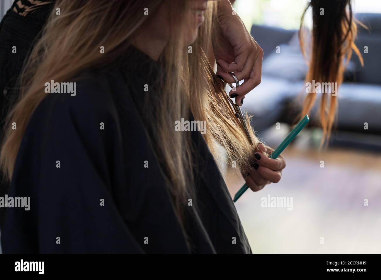 Hair stylist cutting hi-res stock photography and images - Alamy