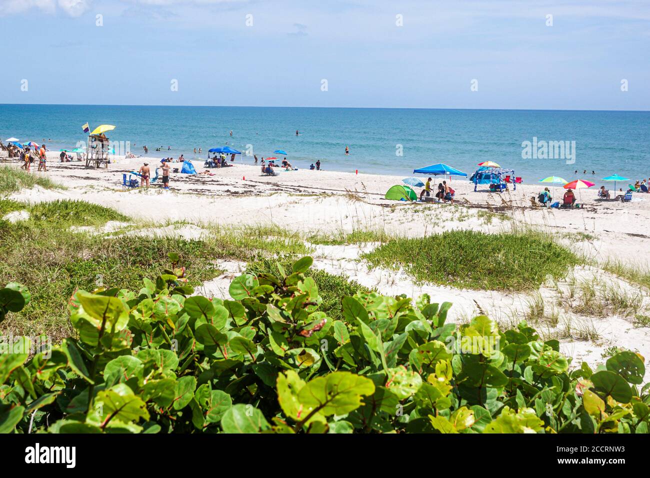 Florida,Atlantic Ocean water,Indialantic Beach,water,sand,beachgoers