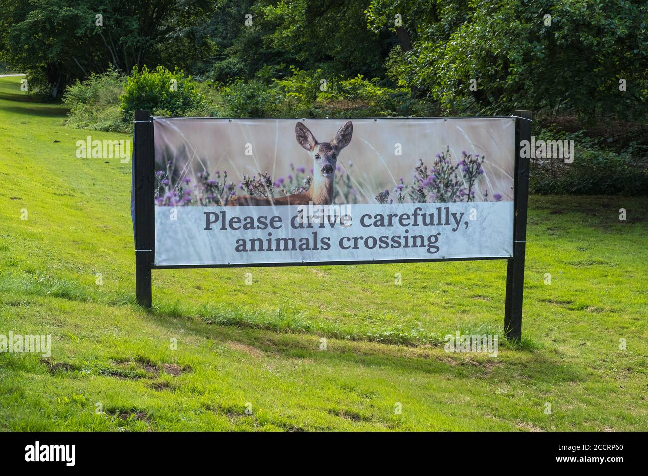 Roadside sign saying Please Drive Carefully Animals Crossing Stock Photo