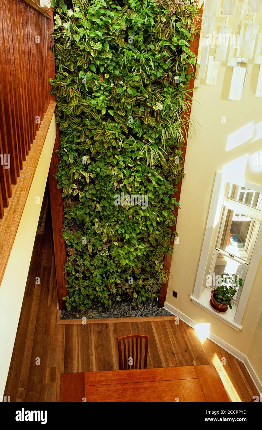Vertical Indoor Green Wall Stock Photo
