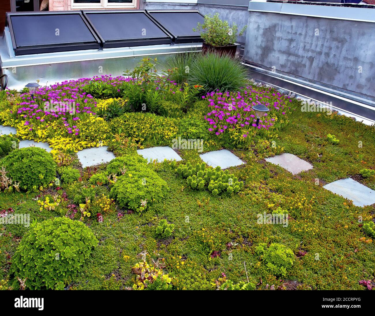 Residential Rooftop Garden Stock Photo Alamy