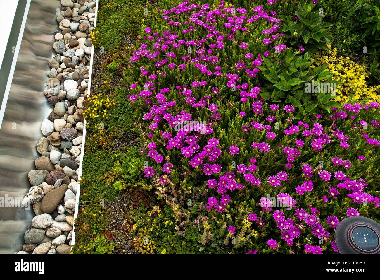 Residential Rooftop Garden Stock Photo - Alamy