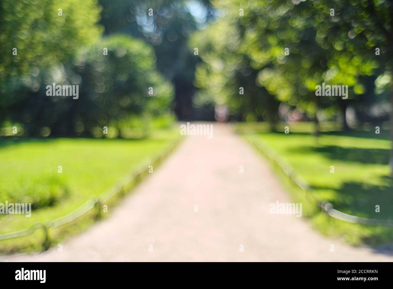 Blurred park background hi-res stock photography and images - Alamy