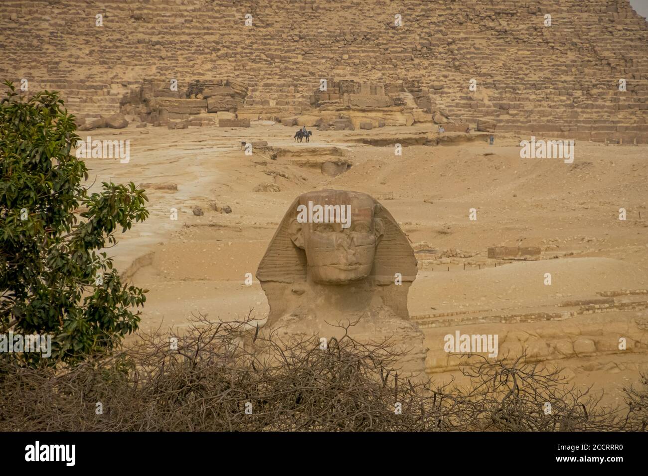Gran Esfinge de Guiza. El Cairo. Egipto. Stock Photo
