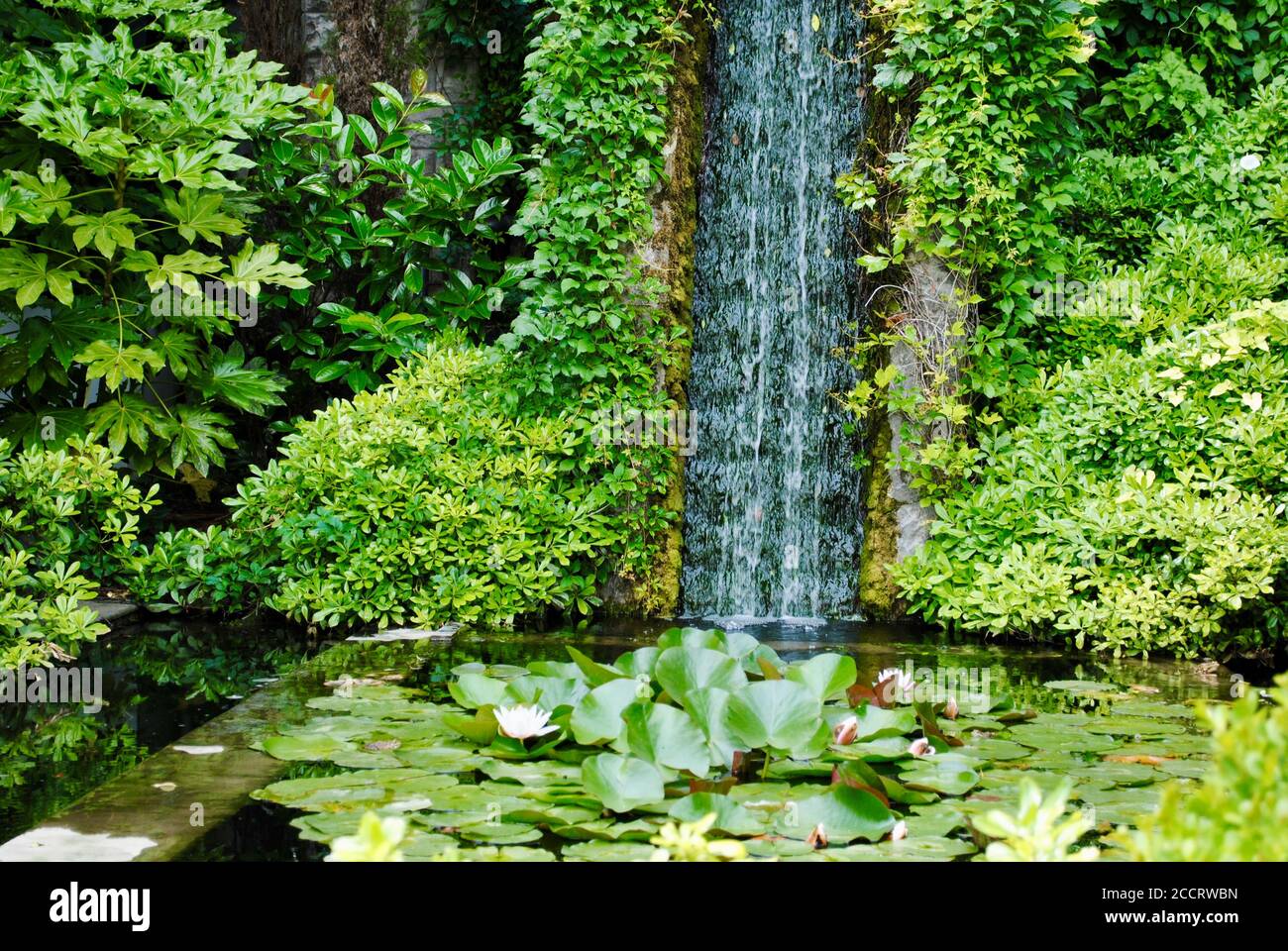 The beautiful water-lily pond at the exterior of Sakip Sabanci Museum. Istanbul Turkey Stock Photo