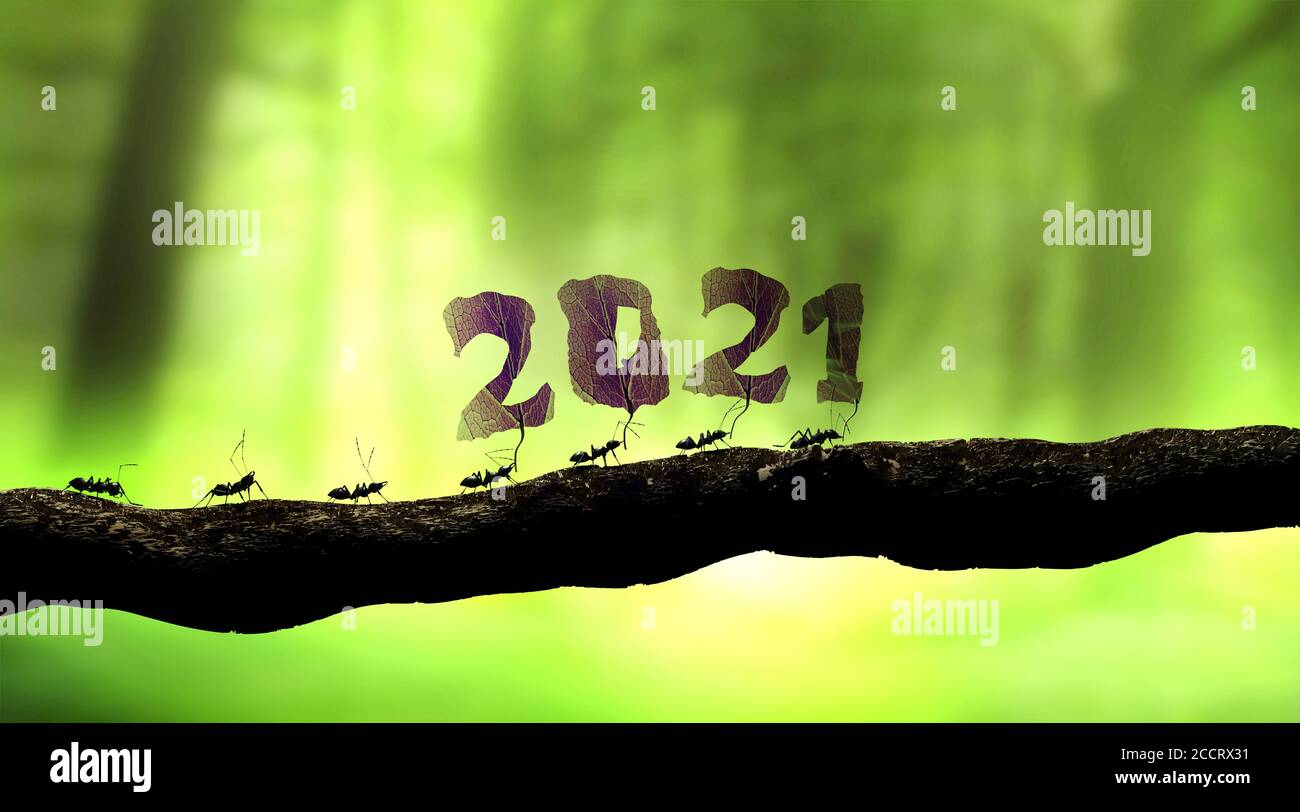 ants carrying 2021 number for the new year 3D rendering Stock Photo Alamy