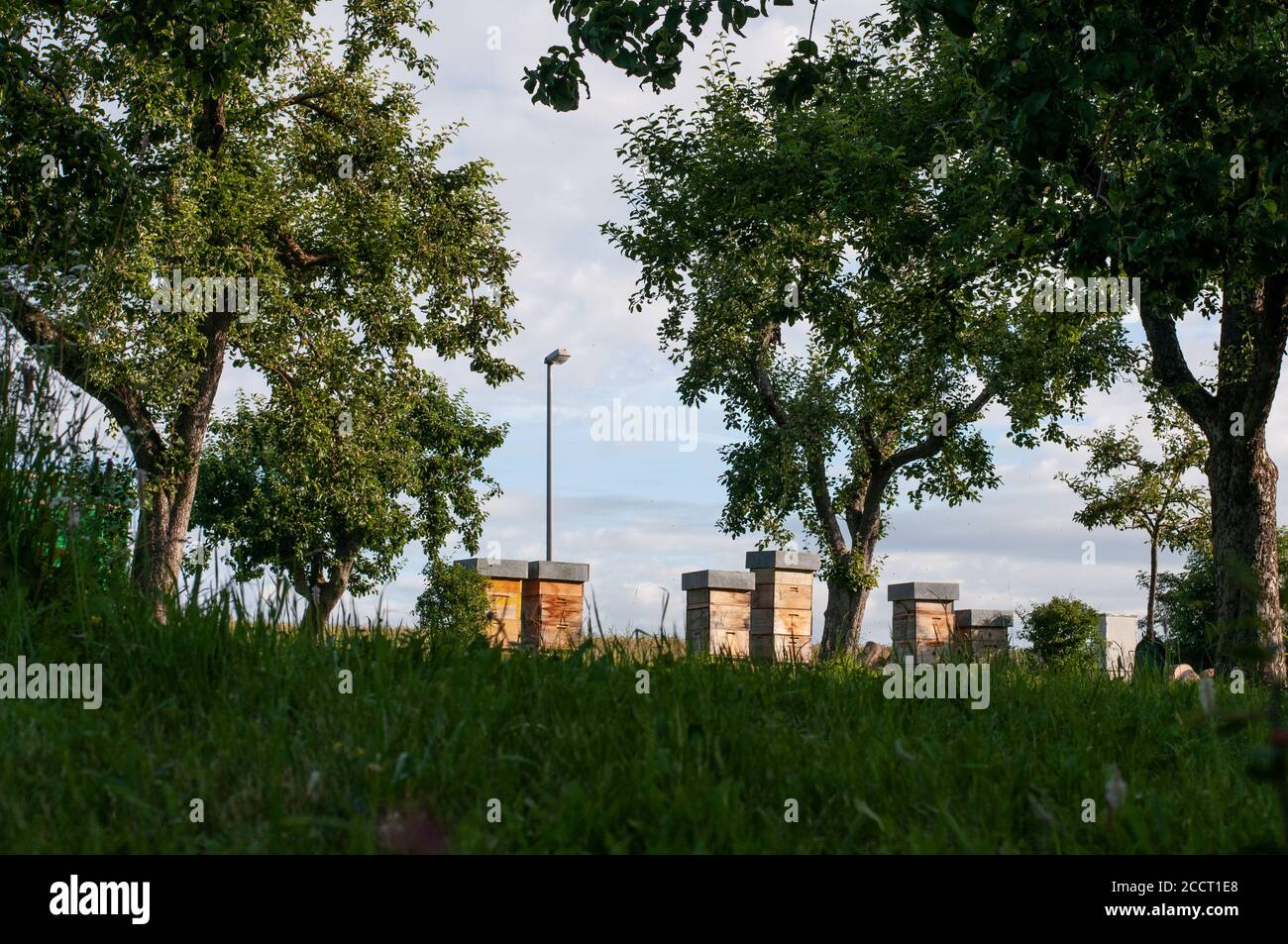 Beehives Orchard High Resolution Stock Photography and Images - Alamy