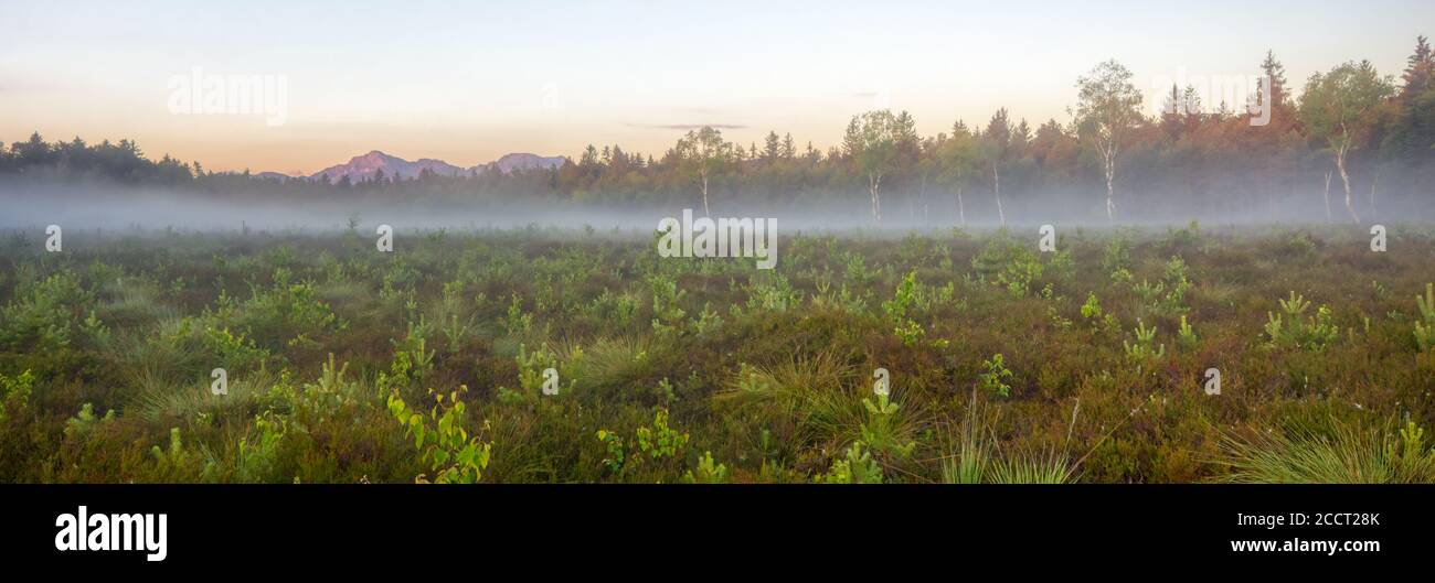 Morning haze over the Schoenramer Filz high moor, with the view to the Hohenstaufen mountain range, in the Rupertiwinkel, South Germany Stock Photo