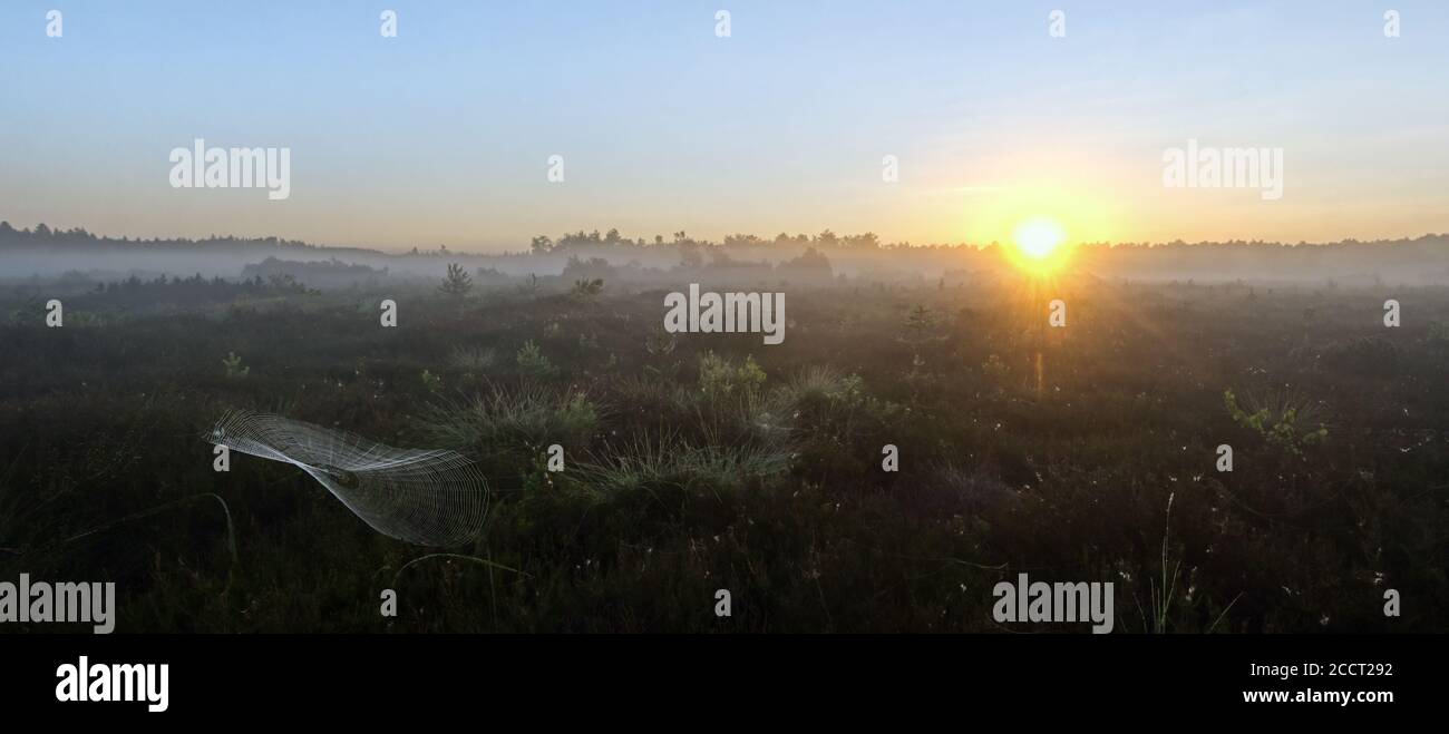 Sunrise over the Schoenramer Filz high moor, with a spider web, in the Rupertiwinkel, in Upper Bavaria, South Germany Stock Photo
