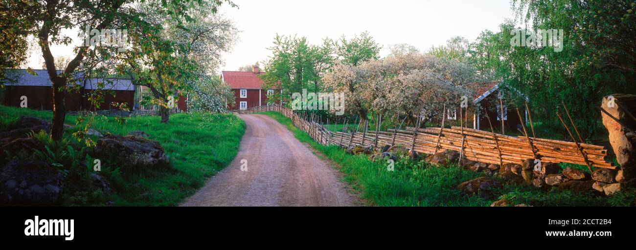 Traditional red farm houses and barns and field fences at village of Stensjöby in Småland, Sweden Stock Photo