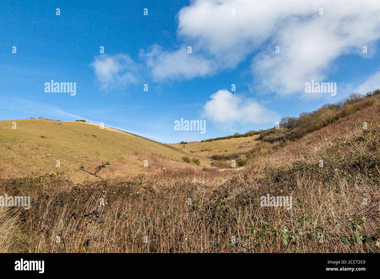 A winter view of a South Downs landscape with a blue sky overhead Stock Photo