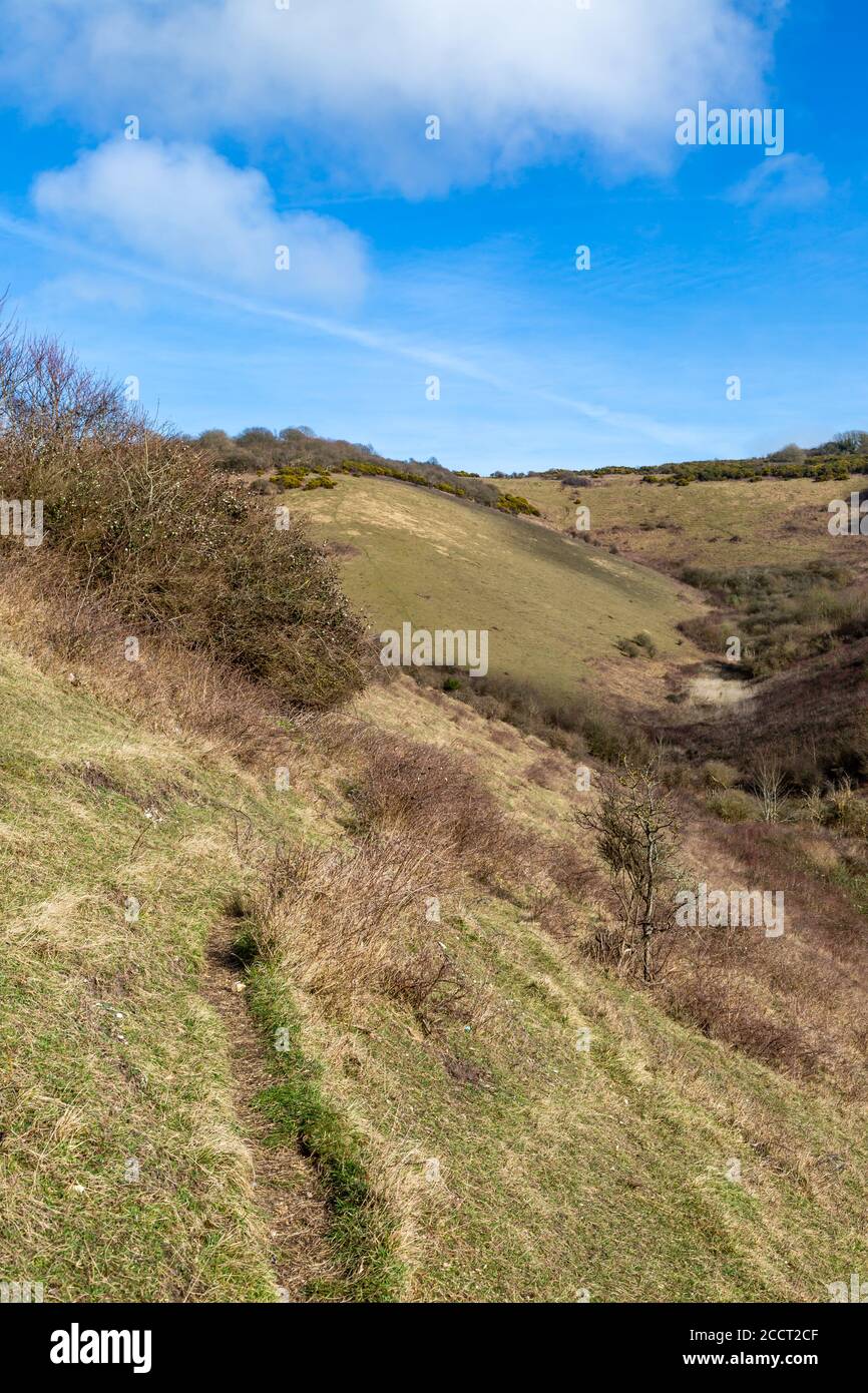 A pathway on Malling Down, near Lewes in Sussex Stock Photo