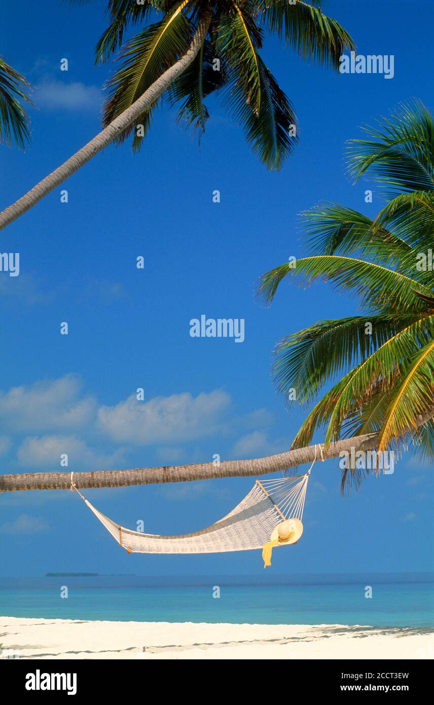 Idyllic photo of hammock and palm tree hanging over sandy shore Stock Photo