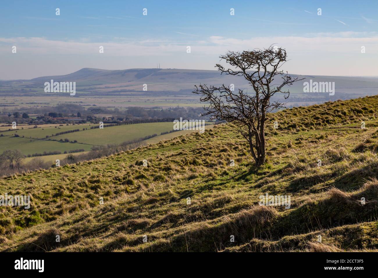 Looking out over the South Downs in Sussex towards Firle Beacon Stock Photo