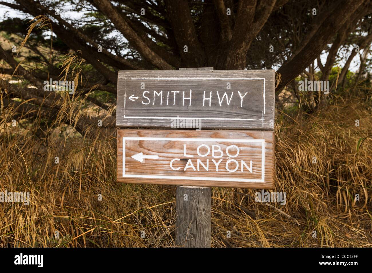 Trail sign to Lobo Canyon, Santa Rosa Island, Channel Islands National ...