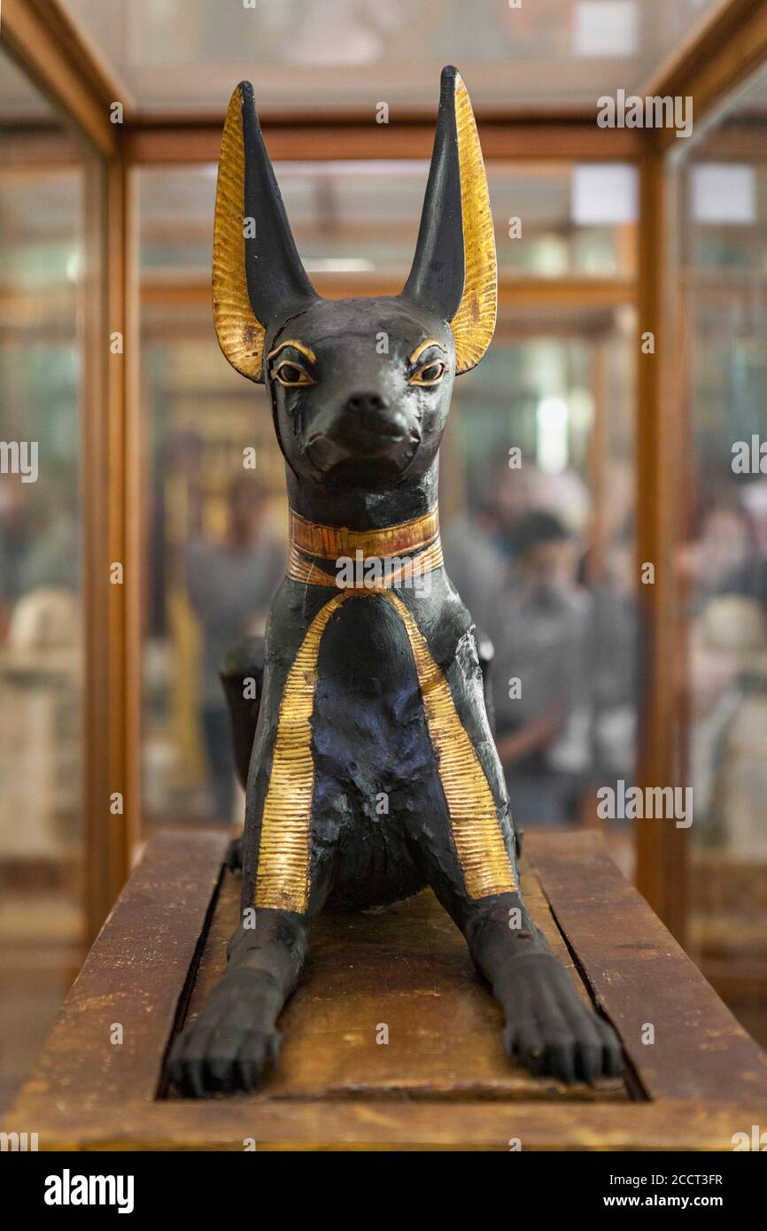 Figure of Anubis, Museum of Egyptian Antiquities, Cairo Stock Photo