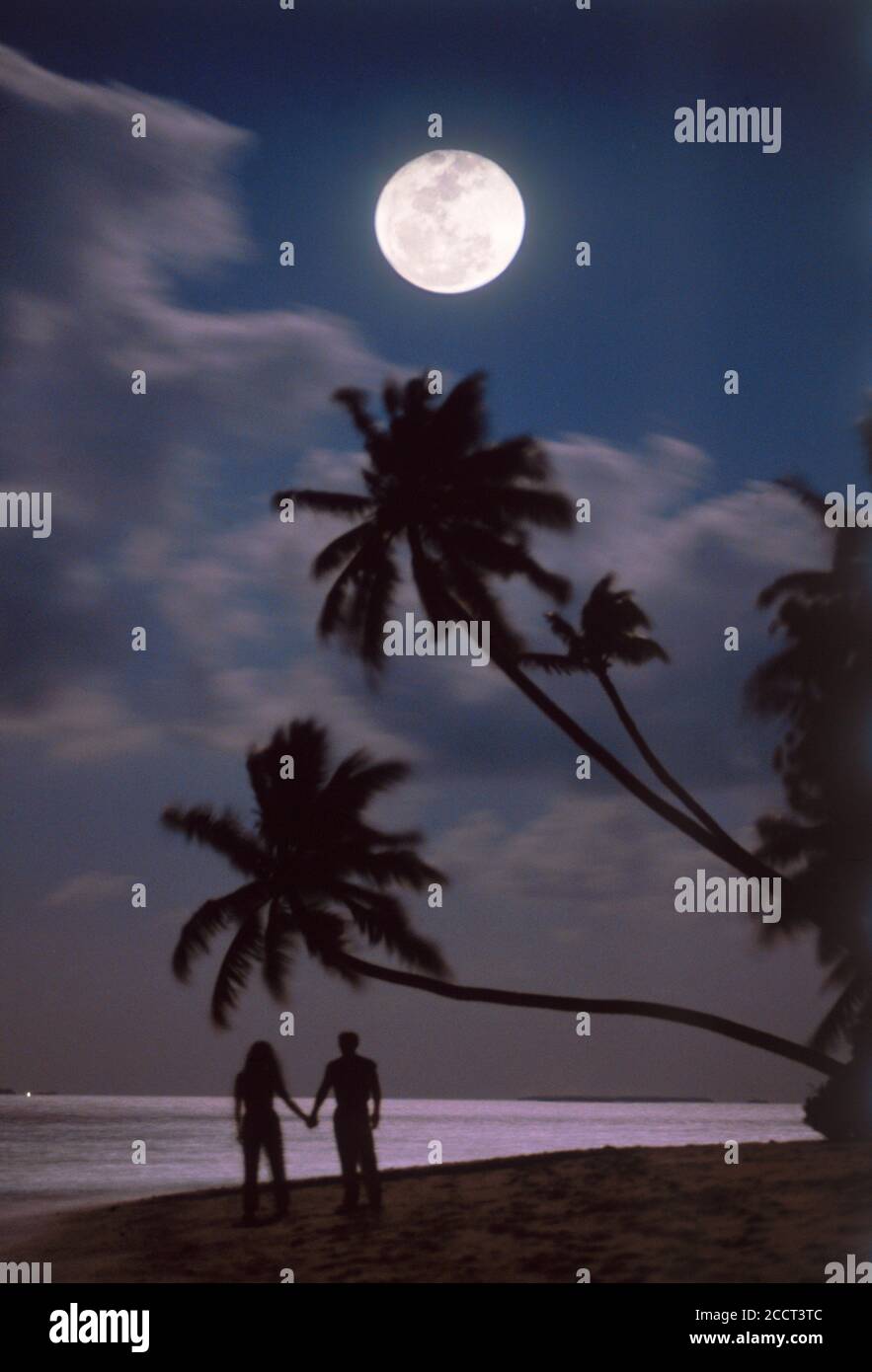 Full moon and palm trees over couple standing on sandy shore at night Stock Photo